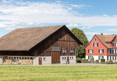 Tocht Te voet Hefenhofen - Hefenhofen - Kesswil - Photo