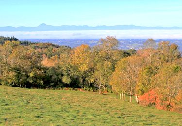 Tour Wandern Thiers - Thiers_Pierre_Folle - Photo