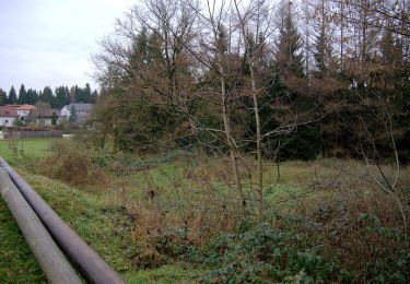 Randonnée A pied Gampern - Felderrundweg - Photo