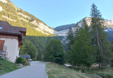 Trail Walking Saint-Pierre-d'Entremont - Un tour de Micheline - Photo