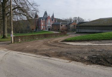 Trail Walking Namur - WIERDE _ Marche Adeps _ NA _ 29/01/2023 - Photo