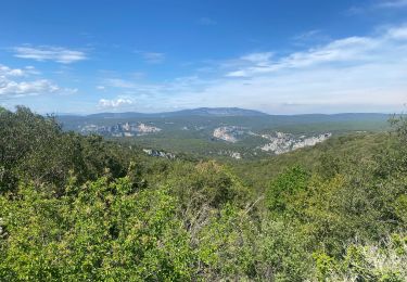 Trail Walking Le Garn - Le Garn à l’Ardeche - Photo