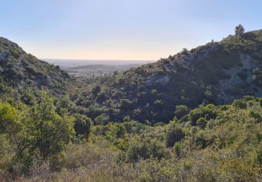 Randonnée Marche Garrigues - garrigues-Bois et grotte de Paris - Photo