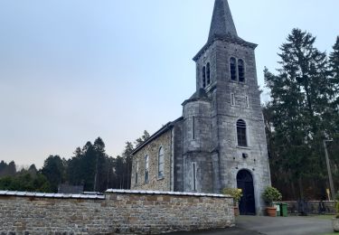 Tocht Stappen Manhay - autour de Saint Antoine  - Photo