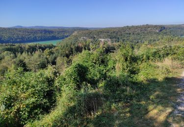 Tour Wandern Barésia-sur-l'Ain - Soucia - Photo