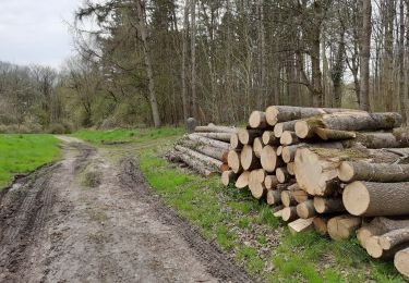 Randonnée Marche Modave - Petit tour autour du château de Modave - Photo