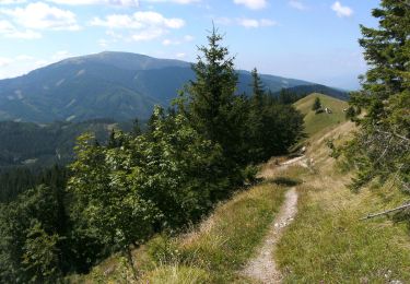 Randonnée A pied Gemeinde Trattenbach - Baumgarten - Kummerbauerstadl - Erzkogel - Photo