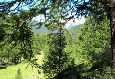 Trail Walking Saint-Martin-Vésubie - Lacs des Bresses et Negre - Photo