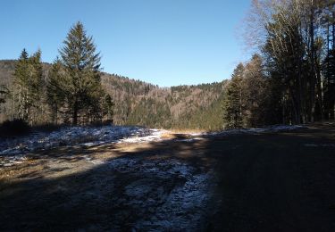 Tour Wandern Sewen - Sewen chalet du Graber - Photo