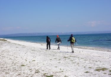 Tour Wandern Martigues - Martigues - parc de Figuerolles - Photo