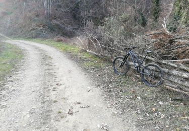 Excursión Bici de montaña Chatte - chemin du tram part1 - Photo