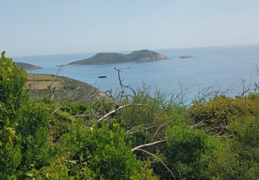 Tour Wandern La Croix-Valmer - cigaro - Photo