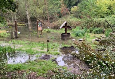 Trail Walking Ottignies-Louvain-la-Neuve - ✅ Le bois des rêves à Ottignies - Parcours natura 2000 - Photo