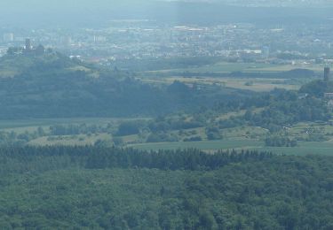 Percorso A piedi Biebertal - Forstweg - Photo