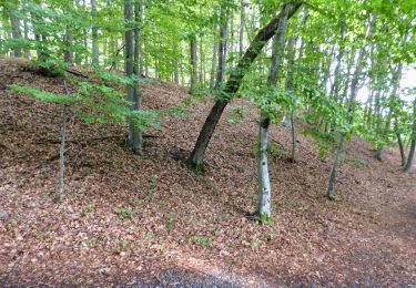 Tour Zu Fuß Tieschen - Linke Fußspur (Auf den Spuren der Vulkane) - Photo