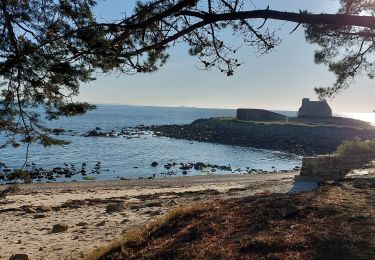 Randonnée Marche La Trinité-sur-Mer - PR_56_La-Trinite-Sur-Mer_BA_02_Circuit1b_Le-Sentier-Des-Douaniers_20221216 - Photo