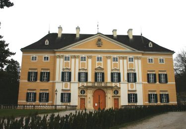 Tocht Te voet Lanzenkirchen - Frohsdorf (Rosalienweg) - Gespitzter Riegel - Photo