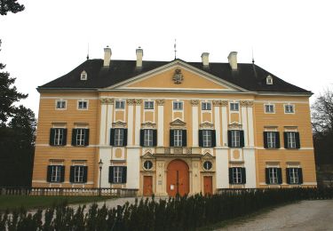 Randonnée A pied Lanzenkirchen - Frohsdorf (Rosalienweg) - Gespitzter Riegel - Photo