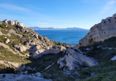 Trail Walking Le Rove - de Niolon à l'Erévine - Photo