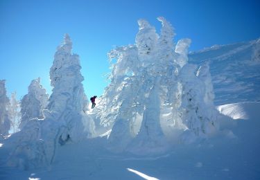 Excursión A pie okres Prievidza - Náučný chodník Vtáčnik - Photo