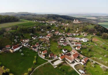 Excursión A pie Heidenheim - Rundwanderweg Heidenheim 4 - Photo