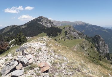 Percorso A piedi Bellver de Cerdanya - Pic del Moixeró - Photo