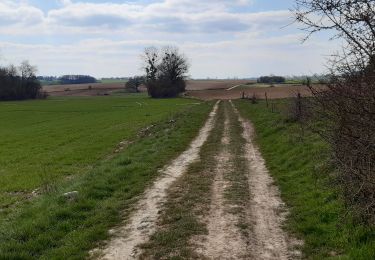 Tour Wandern Havelange - méan ac - Photo