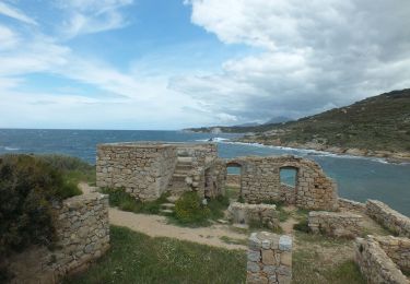 Trail Walking Calvi - Tour de la Revellata - Photo