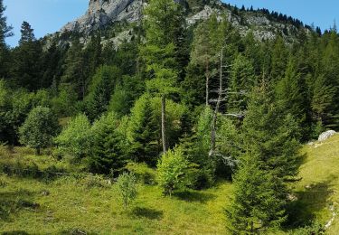 Trail Walking Lus-la-Croix-Haute - R48 - Gorges des Amayères - Photo