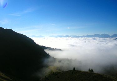 Tour Zu Fuß Peio - Sentiero dei Tedeschi - Photo