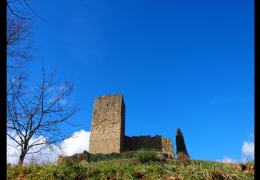 Percorso A piedi Poppi - La Via dei Legni - Photo