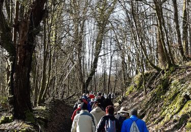 Tocht Stappen Neufmanil - neufmanil mardi - Photo