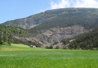 Percorso Mountainbike Veynes - VTT12 - Le bois des Fanges - Photo