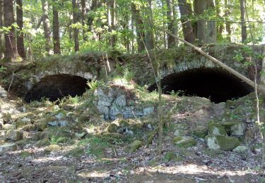 Percorso A piedi Lesná - [Z] naučná stezka historie sklářství - Photo