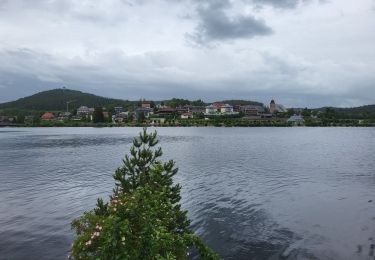 Trail Walking Schluchsee - Forêt Noire : tour du lac Schluchsee - Photo