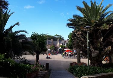 Randonnée Marche Île-de-Bréhat - ile de Brehat au 16 juin - Photo