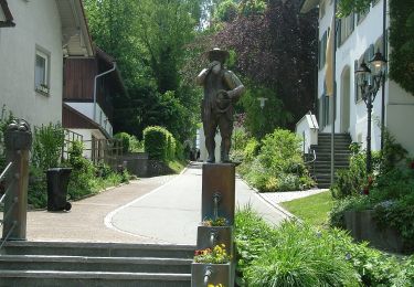 Tocht Te voet Bodnegg - Rundwanderweg 1 der Gemeinde Bodnegg - Photo