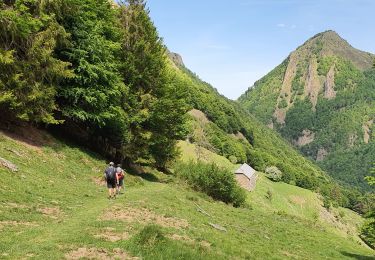 Tour Wandern Sentein - etang d'Araing - Photo