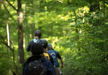 Trail Equestrian Saint-Hubert - Chevauchée de Saint Monon - Photo