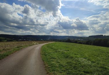 Tour Wandern Rambruch - au pays de l ardoise  - Photo