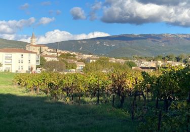 Trail Walking Taulignan - Taulignan le chemin de la soie - Photo