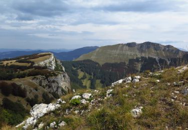 Excursión Senderismo Léoncel - Rochers de la Sausse - Photo