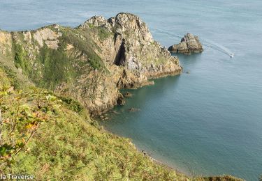 Excursión Senderismo Plouha - Les falaises de Plouha - Photo