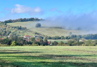 Randonnée A pied Tvarožná Lhota - NS Oskerušová - Photo