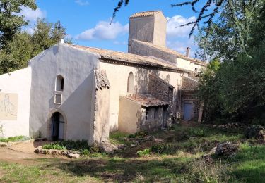 Tocht Stappen Sainte-Anastasie-sur-Issole - St Anastasie la chapelle St Quinis - Photo