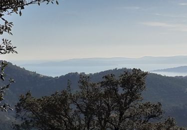 Tour Wandern Fréjus - petites maures  - Photo