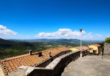 Tocht Te voet Pomarance - Capezzalla - Bivio Villa - Photo