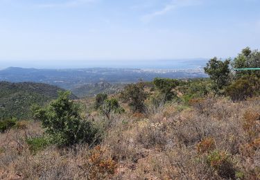 Tour Nordic Walking Fréjus - mont de l'Aigre  - Photo