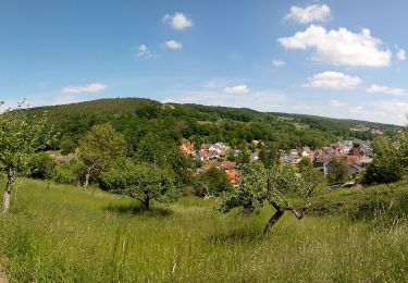 Excursión A pie Leidersbach - Panorama Besinnungsweg - Photo