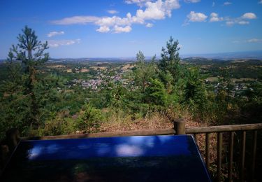 Excursión Senderismo Volvic - La grande Hêtraie et le Puy de Paugnat.  - Photo